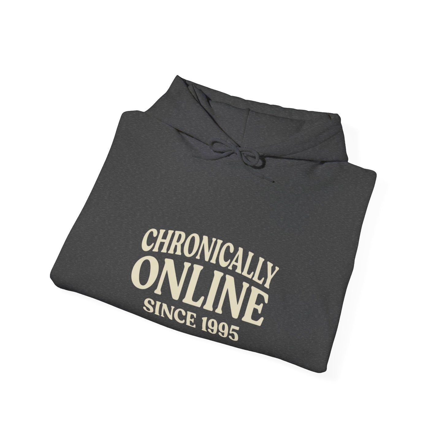 Chronically Online Since 1995 Hoodie | Retro Internet Humour