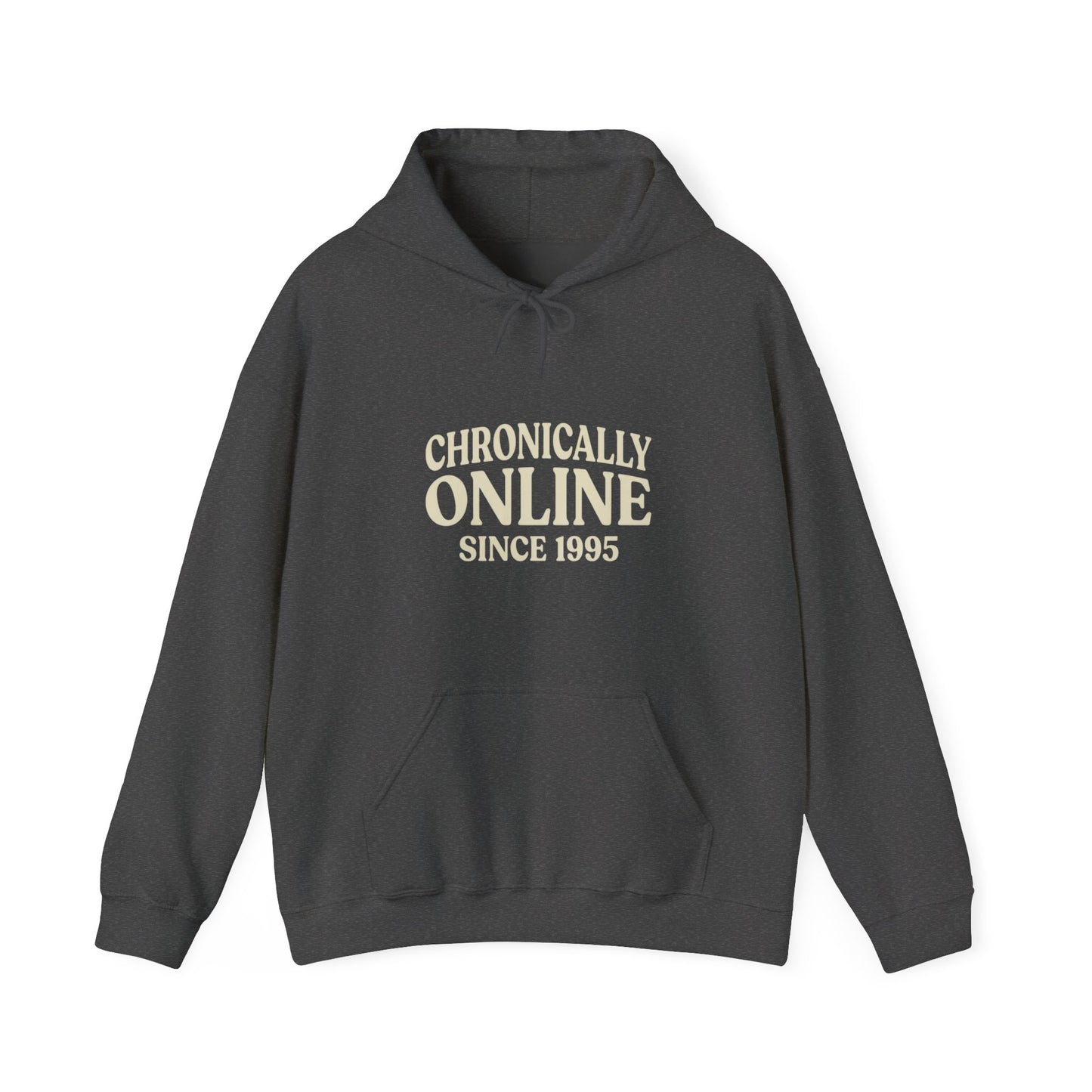 Chronically Online Since 1995 Hoodie | Retro Internet Humour