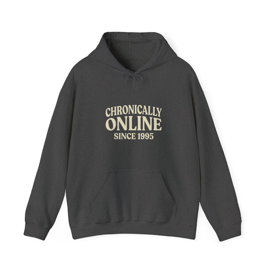 Chronically Online Since 1995 Hoodie | Retro Internet Humour